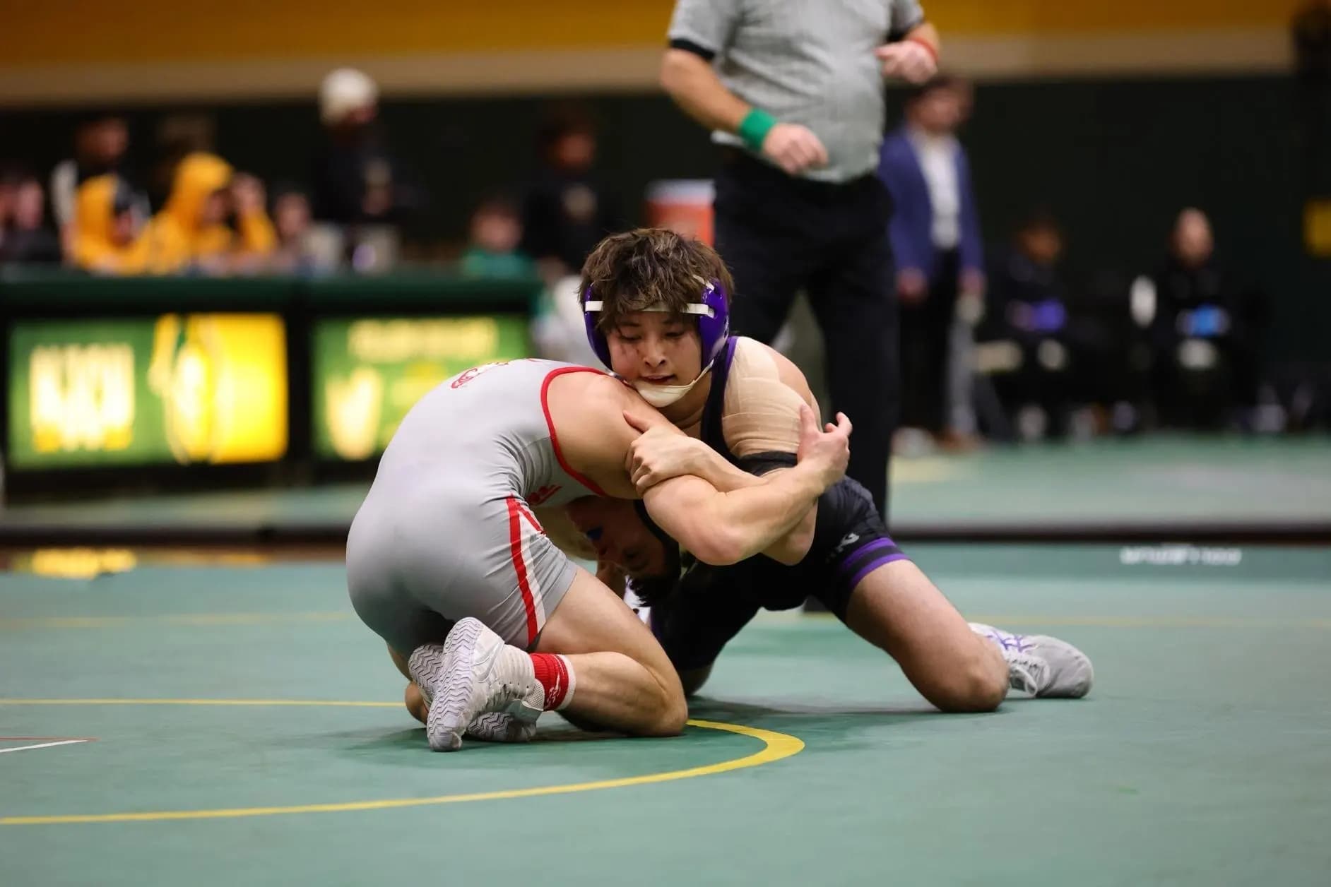 taisei wrestling